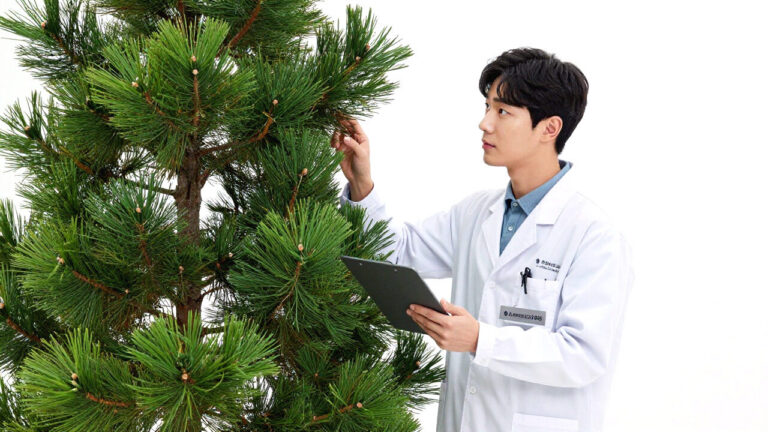 산림청 공인 나무의사 비전공자 식물보호산업기사 학은제 41학점 취득법