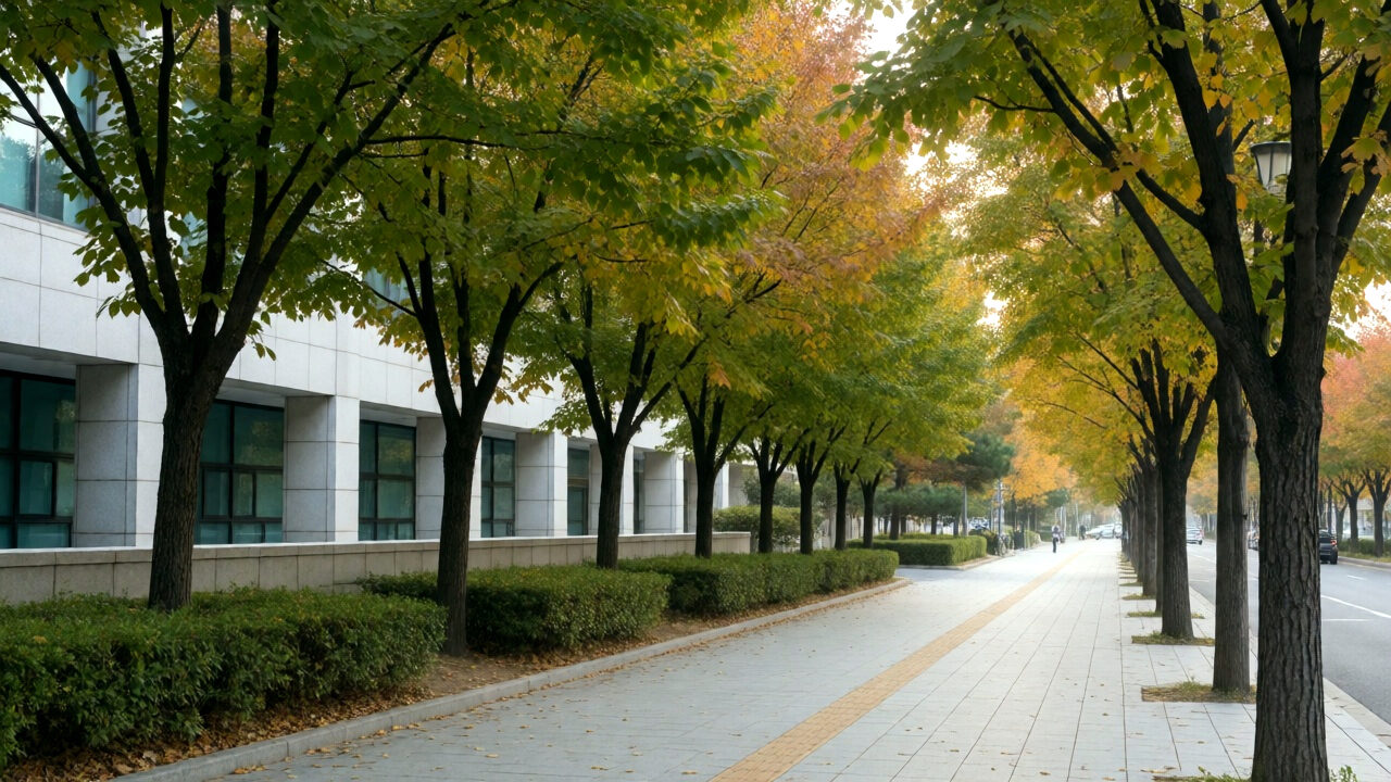 💡 헷갈리는 맞춤법 10초 만에 완벽 정리